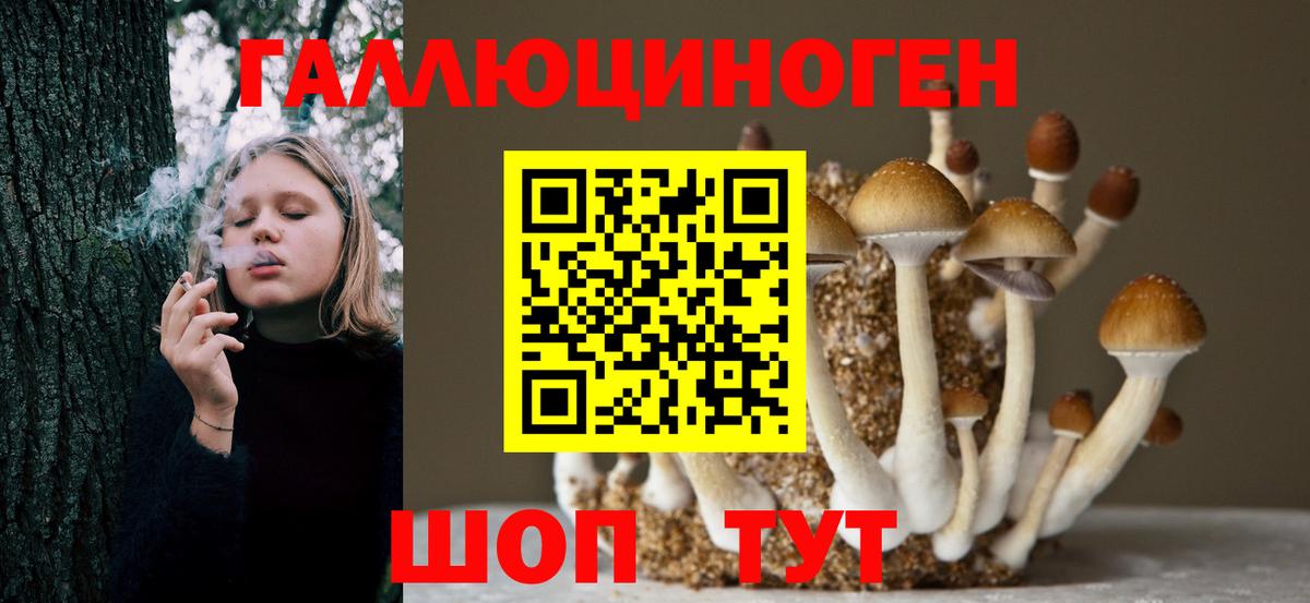 Псилоцибиновые грибы Psilocybine cubensis Коряжма